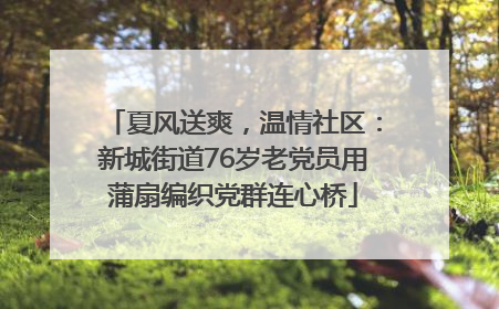 夏风送爽，温情社区：新城街道76岁老党员用蒲扇编织党群连心桥