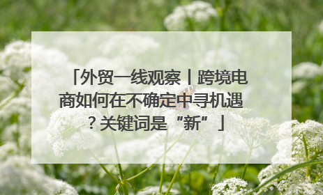 外贸一线观察丨跨境电商如何在不确定中寻机遇？关键词是“新”