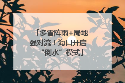 多雷阵雨+局地强对流！海口开启“倒水”模式