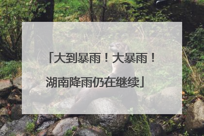 大到暴雨！大暴雨！湖南降雨仍在继续