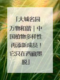 大城名园 万物和谐｜中国植物多样性再添新成员！它只在西藏墨脱