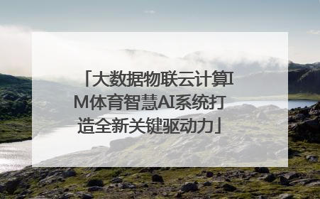 大数据物联云计算IM体育智慧AI系统打造全新关键驱动力