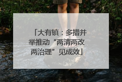 大有镇：多措并举推动“两清两改两治理”见成效
