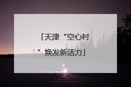天津“空心村”焕发新活力