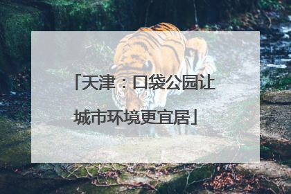 天津：口袋公园让城市环境更宜居
