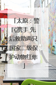 太原：警民携手 先后救助两只国家二级保护动物红隼