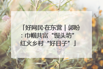 好网民·在东营｜郭盼：巾帼共富“馒头坊” 红火乡村“好日子”