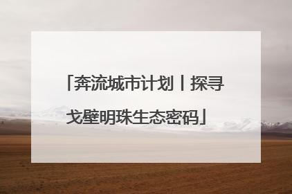 奔流城市计划丨探寻戈壁明珠生态密码