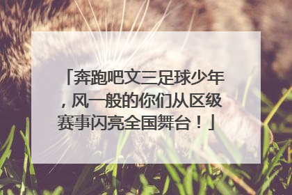 奔跑吧文三足球少年，风一般的你们从区级赛事闪亮全国舞台！