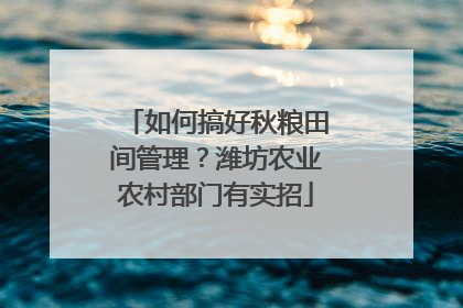 如何搞好秋粮田间管理？潍坊农业农村部门有实招