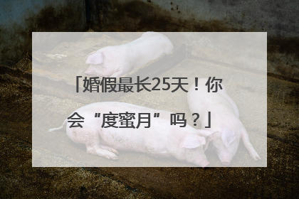 婚假最长25天！你会“度蜜月”吗？