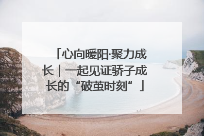 心向暖阳·聚力成长｜一起见证骄子成长的“破茧时刻”