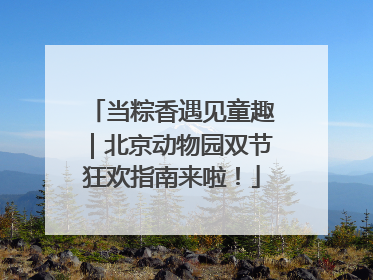 当粽香遇见童趣｜北京动物园双节狂欢指南来啦！
