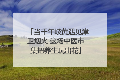 当千年岐黄遇见津卫烟火 这场中医市集把养生玩出花