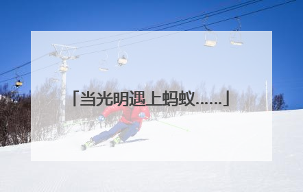 当光明遇上蚂蚁……