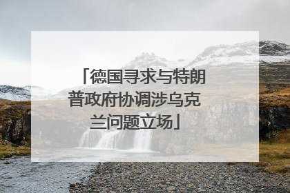德国寻求与特朗普政府协调涉乌克兰问题立场