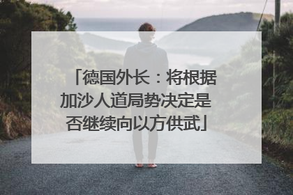 德国外长：将根据加沙人道局势决定是否继续向以方供武