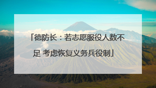 德防长：若志愿服役人数不足 考虑恢复义务兵役制