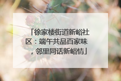 徐家楼街道新峪社区：端午共品百家味，邻里同话新峪情