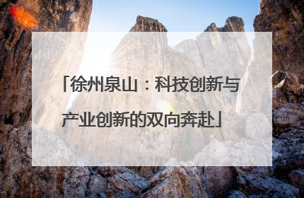 徐州泉山：科技创新与产业创新的双向奔赴