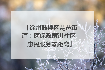 徐州鼓楼区琵琶街道：医保政策进社区 惠民服务零距离