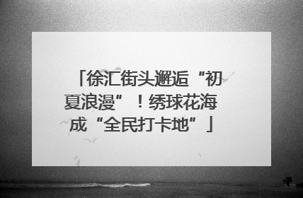 徐汇街头邂逅“初夏浪漫”！绣球花海成“全民打卡地”