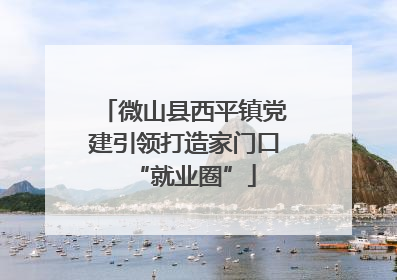 微山县西平镇党建引领打造家门口“就业圈”