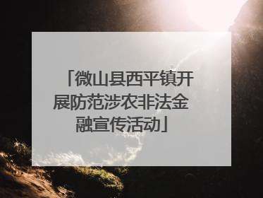 微山县西平镇开展防范涉农非法金融宣传活动