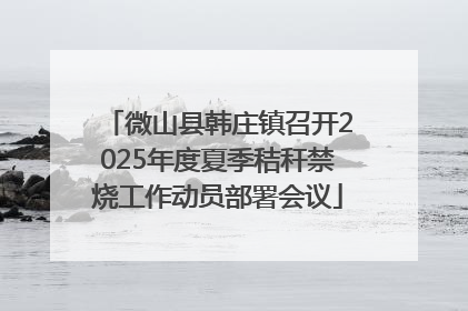 微山县韩庄镇召开2025年度夏季秸秆禁烧工作动员部署会议