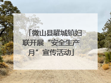 微山县驩城镇妇联开展“安全生产月”宣传活动