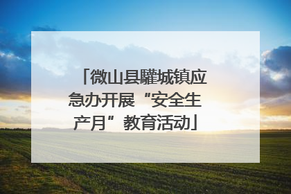 微山县驩城镇应急办开展“安全生产月”教育活动