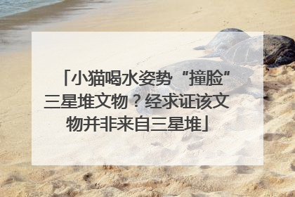 小猫喝水姿势“撞脸”三星堆文物？经求证该文物并非来自三星堆