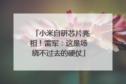 小米自研芯片亮相！雷军：这是场绕不过去的硬仗