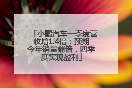 小鹏汽车一季度营收增1.4倍：预期今年销量翻倍，四季度实现盈利