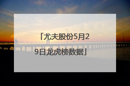 尤夫股份5月29日龙虎榜数据
