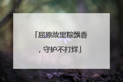屈原故里粽飘香，守护不打烊