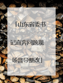 山东省委书记直奔问题现场督导整改