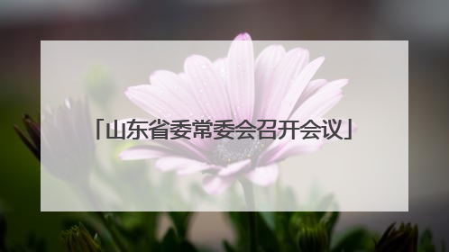山东省委常委会召开会议