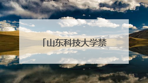 山东科技大学禁用红米手机考试，小米王化回应