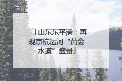 山东东平港：再现京杭运河“黄金水道”盛景
