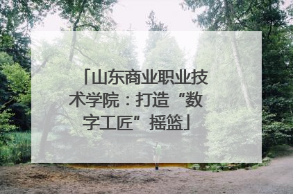 山东商业职业技术学院：打造“数字工匠”摇篮