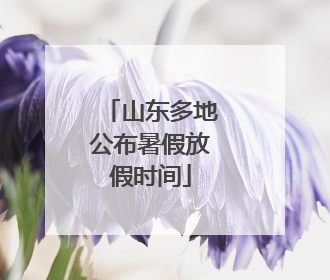 山东多地公布暑假放假时间
