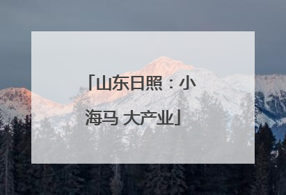 山东日照：小海马 大产业