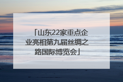 山东22家重点企业亮相第九届丝绸之路国际博览会