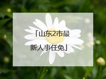 山东2市最新人事任免