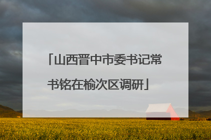 山西晋中市委书记常书铭在榆次区调研
