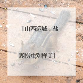 山西运城：盐湖捞虫别样美
