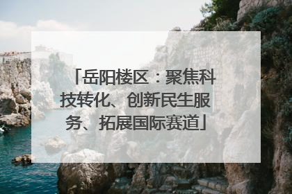 岳阳楼区：聚焦科技转化、创新民生服务、拓展国际赛道