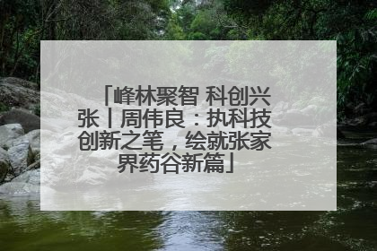 峰林聚智 科创兴张丨周伟良：执科技创新之笔，绘就张家界药谷新篇