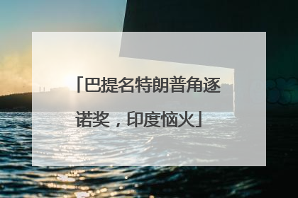 巴提名特朗普角逐诺奖，印度恼火